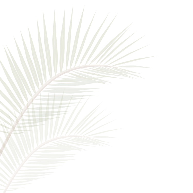 croatia palm tree drawing